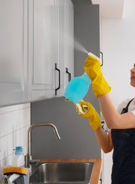 medium-shot-woman-cleaning-home_23-2150453302
